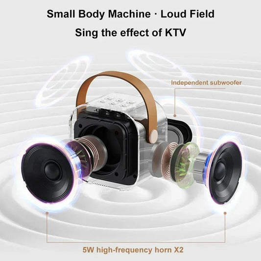 NNEOBA K12 Bluetooth Karaoke Machine