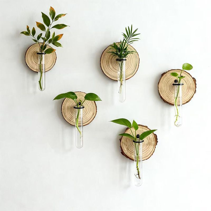 Creative Wall-Mounted Test Tube Hydroponic Vases - Set of 6 DropShipZone