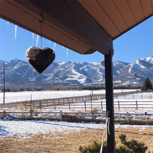 Heart-Shaped Bird Nest with Hanging Metal Frame for Outdoor Garden and Nature Lovers DropShipZone