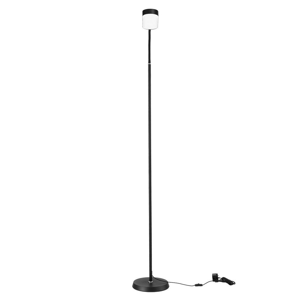 Artiss - LED Floor Lamp with Remote Control & 4 Color Temperature functions DropShipZone