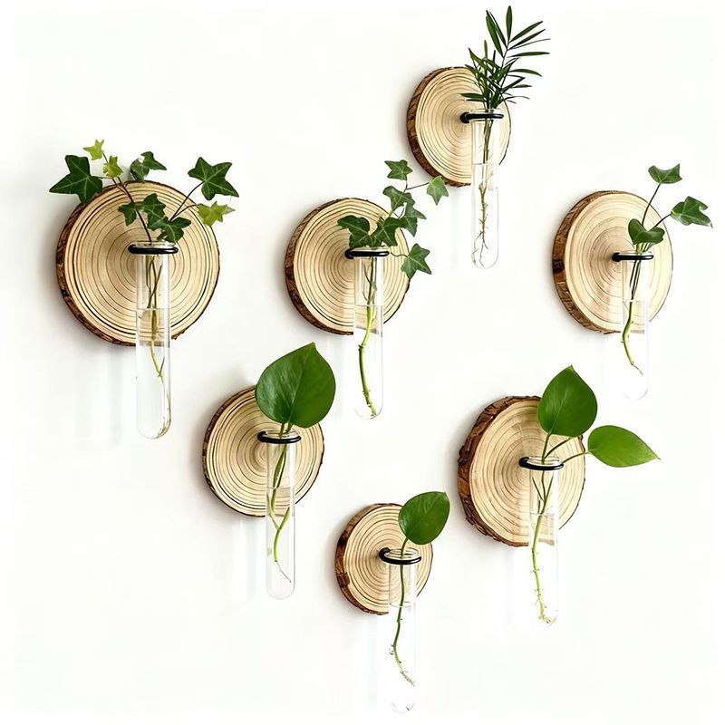 Creative Wall-Mounted Test Tube Hydroponic Vases - Set of 6 DropShipZone