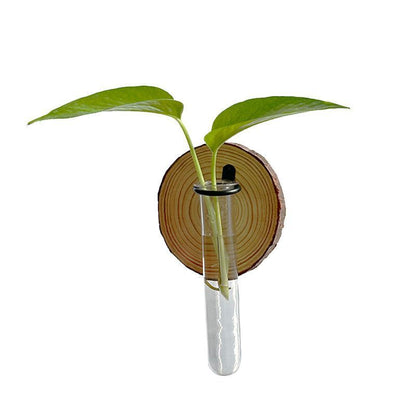 Creative Wall-Mounted Test Tube Hydroponic Vases - Set of 6 DropShipZone