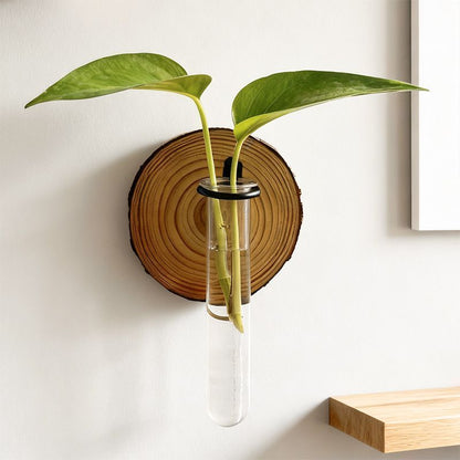 Creative Wall-Mounted Test Tube Hydroponic Vases - Set of 6 DropShipZone