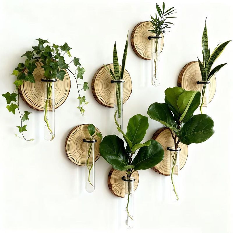 Creative Wall-Mounted Test Tube Hydroponic Vases - Set of 6 DropShipZone