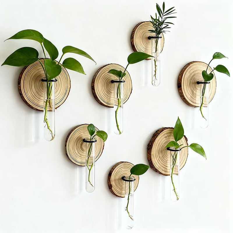 Creative Wall-Mounted Test Tube Hydroponic Vases - Set of 6 DropShipZone