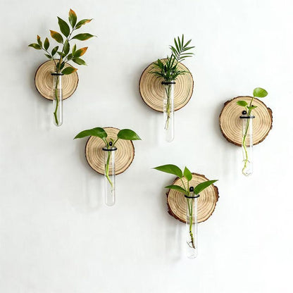 Creative Wall-Mounted Test Tube Hydroponic Vases - Set of 6 DropShipZone