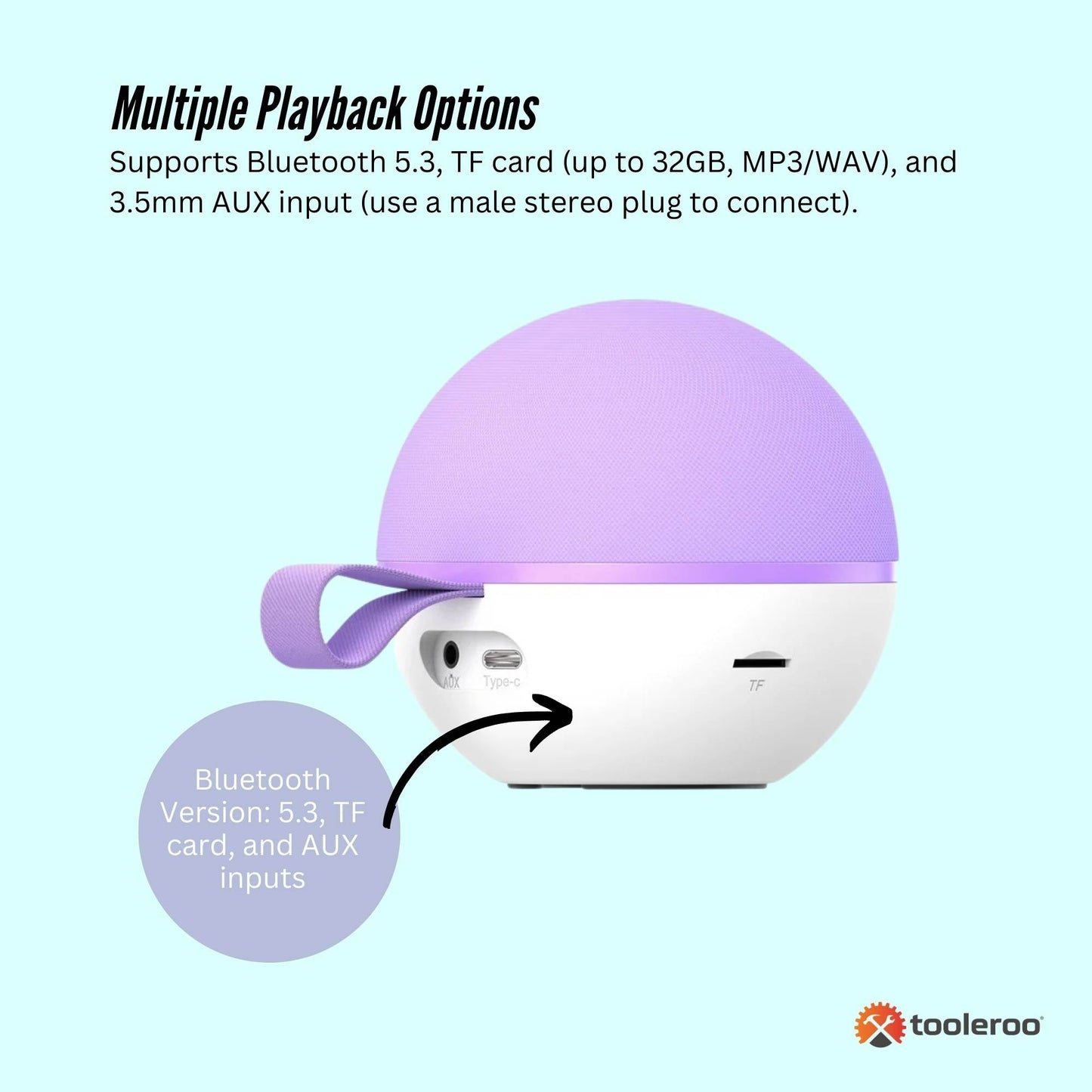 Mini Karaoke Machine - 2x Wireless Microphones Portable Bluetooth Speaker | Purple DropShipZone