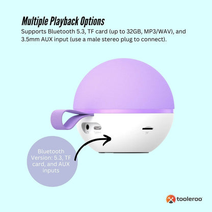Mini Karaoke Machine - 2x Wireless Microphones Portable Bluetooth Speaker | Purple DropShipZone
